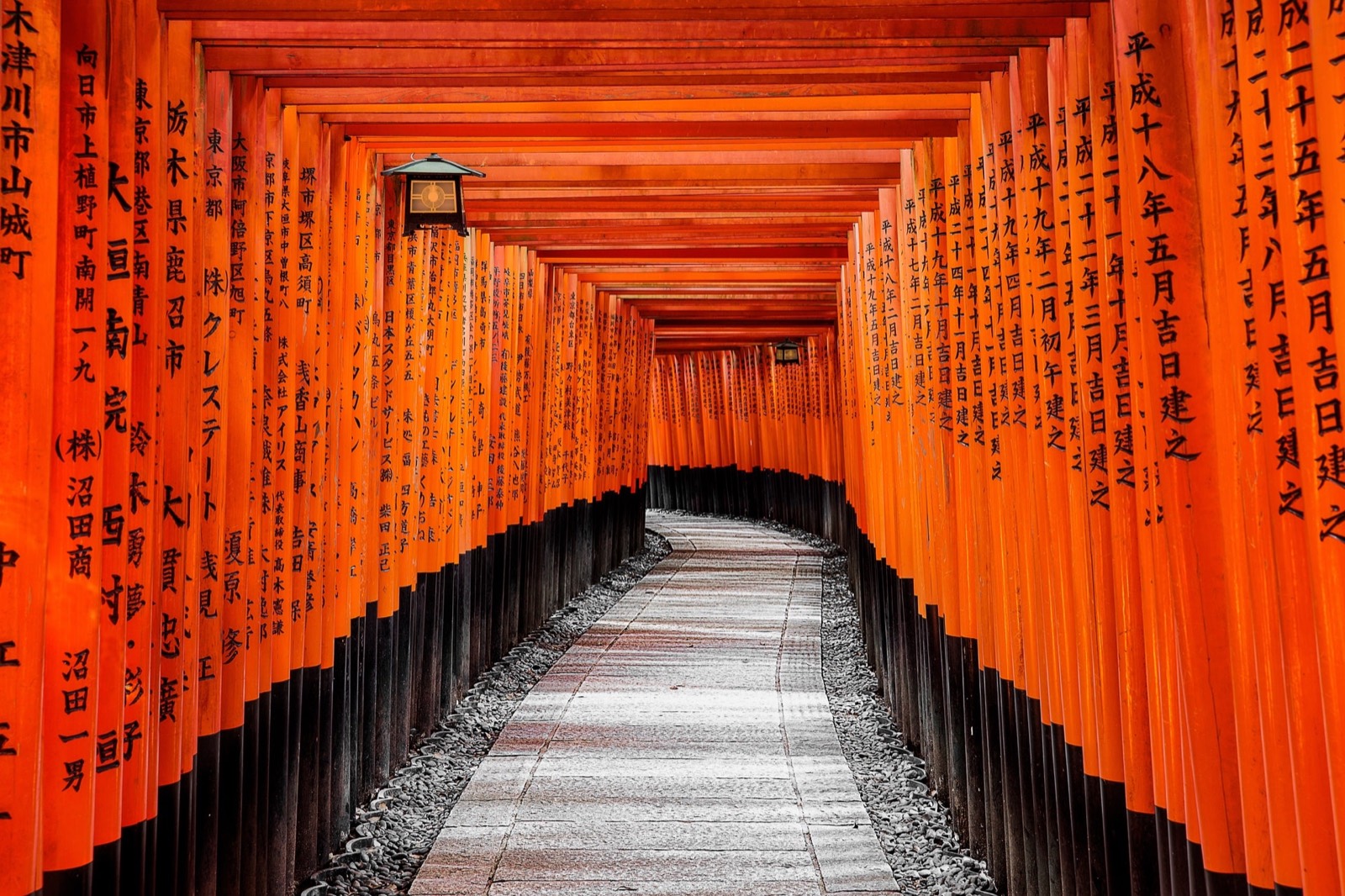 Torii gates at a shrine